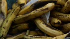 Στη φάκα της ΑΑΔΕ: Βρέθηκαν 46 κιλά κοκαΐνης στο ψυγείο με τις μπανάνες