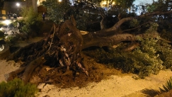 Τραγωδία στις Σέρρες: Βγήκε να πάρει το τηλέφωνο από την αυλή και τον καταπλάκωσε δέντρο 