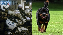 ΔΙΑΣ έπιασαν 29χρονο με 2 γραμμάρια χασίς στο κέντρο της Αθήνας και αυτός άφησε ροτβάιλερ για να τους δαγκώσει