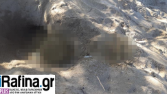 Παιδάκι έπαιζε με κουβαδάκια στην Ραφήνα και ξέθαψε ανθρώπινο κρανίο