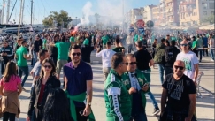 Λεωφόρος... Βόλου και Παναθηναϊκή τρέλα! (vids)