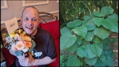 Κηπουρός καλλιεργεί το πιο επικίνδυνο φυτό του κόσμου: Το τσίμπημά του είναι τόσο ανυπόφορο που έχει προκαλέσει αυτοκτονίες (vid)