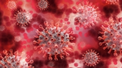 Οι «ιοί ζόμπι» ζωντανεύουν ξανά μετά από 50.000 χρόνια και ο κόσμος ανησυχεί