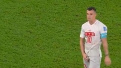 Βλάχοβιτς και Τσάκα τα... έδειξαν και άρχισαν τα γαλλικά (vid)