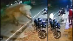 Αφηνιασμένος ελέφαντας χτύπησε παρκαρισμένο μηχανάκι σκορπίζοντας τον τρόμο (vid)