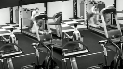 Αδέξιος τύπος έπεσε από διάδρομο γυμναστηρίου (vid)