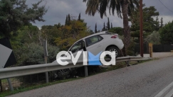Σοκαριστικό τροχαίο στην Εύβοια: Αυτοκίνητο προσγειώθηκε σε προστατευτικές μπάρες αφού πρώτα ξερίζωσε τρία δέντρα