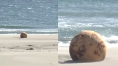  Λύθηκε το μυστήριο με τη σιδερένια μπάλα που ξεβράστηκε σε παραλία στην Ιαπωνία (vid)