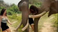 Βίντεο που «κόβει» την ανάσα: Ελέφαντας πέταξε στον αέρα γυναίκα που τον τάιζε μπανάνες