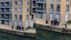 Αστυνομικοί στο Λονδίνο πυροβόλησαν και σκότωσαν δύο σκυλιά: Είχαν επιτεθεί σε γυναίκα (vid)
