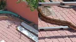 Βόας έκοβε… βόλτες στο Καρλόβασι της Σάμου 