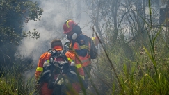 Πύργος: Συνελήφθη ένας άνδρας για απόπειρα εμπρησμού από πρόθεση	