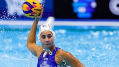 H Βασιλική Πλευρίτου