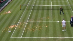 Court 18