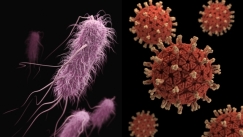 Σπάνιο βακτήριο που τρώει την σάρκα έχει ανησυχήσει τους επιστήμονες: Πέντε άνθρωποι έχουν χάσει την ζωή τους (vid)