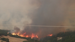 Διαψεύδει το Open τις συλλήψεις «μεταναστών - εμπρηστών» στον Έβρο: «Η πληροφορία ήταν λάθος» (vid)