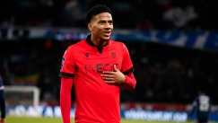 todibo