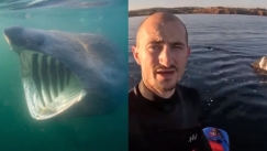 Ξέγνοιαστος τύπος έκανε SUP όταν ξαφνικά τον περικύκλωσε ο «δεύτερος μεγαλύτερος καρχαρίας» (vid)