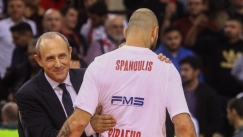 Μεσίνα Σπανουλης