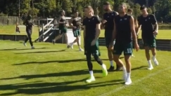 Παναθηναϊκός μπάσκετ