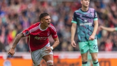 nicolas_dominguez_forest