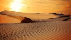 ΟΗΕ: Οι καταιγίδες άμμου και σκόνης, που επιδεινώνονται συνεχώς, οδηγούν σε απώλεια γης