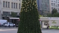Φοβερά πράγματα: Περαστικοί κλέβουν στολίδια από το χριστουγεννιάτικο δέντρο στην Κλαυθμώνος (vid)