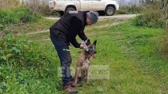 Μεσολόγγι: Εντόπισε «ίχνος» σε βάλτο ο ειδικός σκύλος
