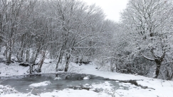 Ο καιρός τρελάθηκε: Από τους 20 βαθμούς... στα χιόνια, στα «λευκά» και η Αττική 