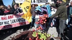 Οι αγρότες πέταξαν στο δρόμο φρούτα και κάστανα σε ένδειξη διαμαρτυρίας (vid)