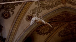 Η ιστορία πίσω από τον κροκόδειλο που κρεμιέται από οροφή εκκλησίας: Το απόκοσμο θέαμα και ο συμβολισμός του (vid)