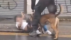 Ασύλληπτο περιστατικό βίας: Αστυνομικός αφήνει σκύλο να κατεβάσει το παντελόνι υπόπτου που είναι ανήμπορος στο έδαφος (vid)