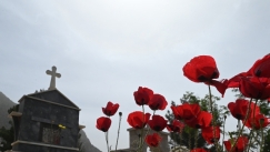 Καλοκαιρινός ο καιρός την Κυριακή των Βαΐων: Αστάθεια και εκπλήξεις τη Μεγάλη Εβδομάδα