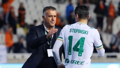 anastasioy_stepinski