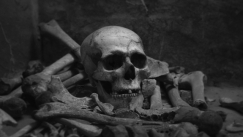 Η ανακάλυψη που έχει προκαλέσει εφιάλτες στους αρχαιολόγους: Η δολοφονία που έγινε πριν από 2.000 χρόνια 