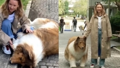 Ο άνθρωπος που ξόδεψε 13.000 ευρώ για να γίνει σκύλος το μετάνιωσε και θέλει να μετατραπεί σε άλλο ζώο (vid)
