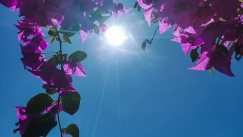 «Φορτσάτος» μπαίνει ο Ιούνιος: Ζέστη από την ερχόμενη εβδομάδα με 37αρια (vid)