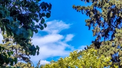 Μαρουσάκης: «Ως σημαντική είδηση παίζει ο και καλά καύσωνας των επόμενων ημερών» (vid)