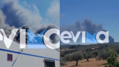 Φωτιά τώρα στην Ριτσώνα και συναγερμός στην Πυροσβεστική: Καίγεται εργοστάσιο με χημικά
