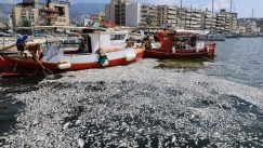 Βόλος: Στον κλοιό της κρίσης ο τουρισμός στη Μαγνησία - «Ακυρώθηκαν οι κρατήσεις μέχρι τον Οκτώβριο»
