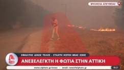 «Τριάντα χρόνια κάνω αυτή τη δουλειά, δεν έχω ξαναδεί κάτι τέτοιο»: Ανεξέλεγκτη η φωτιά στην Αττική (vid) 