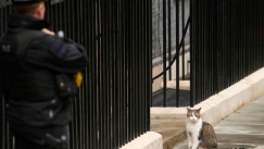 Δύσκολα τα πράγματα στη Ντάουνινγκ Στριτ: Ο γάτος Λάρι έχει ανταγωνιστή