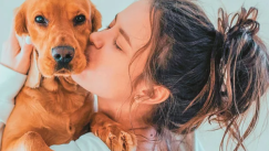 Έρευνα: Η Ελλάδα έγινε pet friendly - Πώς η Covid19 μας έκανε... ζωόφιλους