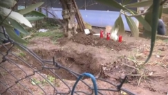 Μυστήριο γύρω από το έγκλημα στην Πιερία: «Ο σκύλος βρέθηκε κρεμασμένος, Αναμένουμε να δούμε εάν ετάφη ζωντανός»