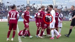 Γροθιά