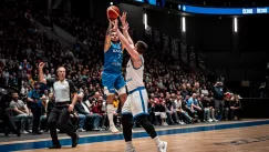 Το κοκκαλάκι της γαλάζιας νυχτερίδας