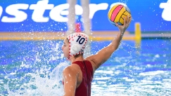 Η Βασιλική Πλευρίτου