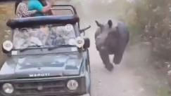 Τα «χρειάστηκαν» τουρίστες σε σαφάρι: Η στιγμή που έξαλλος ρινόκερος τους παίρνει στο κυνήγι (vid)