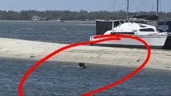 Ασυγκράτητο ζευγάρι εθεάθη να ερωτοτροπεί σε λίμνη και στη συνέχεια ζήτησε λεφτά από τους αυτόπτες μάρτυρες