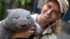 Σάλος με influencer στην Αυστραλία: «Άρπαξε» μωρό γουόμπατ απ' τη μητέρα του (vid)